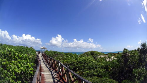 Footpath by sea against blue sky