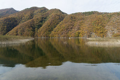 Reflection of trees in lake against sky