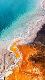 Close-up of sea shore at beach