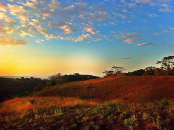 Scenic view of landscape at sunset