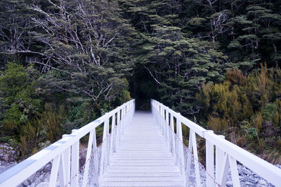 View of footbridge in forest