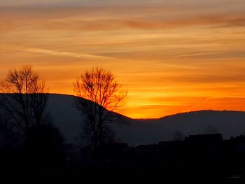 Silhouette trees against orange sky