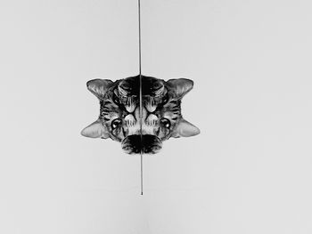 light fixture