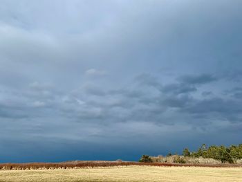 Scenic view of field against sky