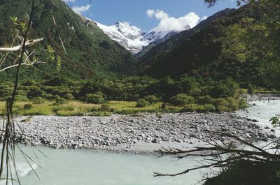 Scenic view of lake by trees against sky