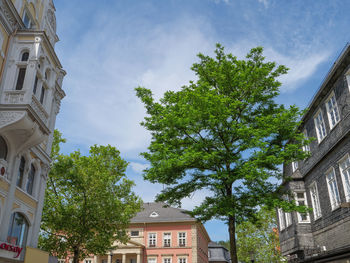 Low angle view of trees and buildings against sky