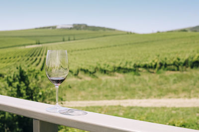 Close-up of wineglass on field