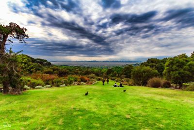 Scenic view of golf course against sky