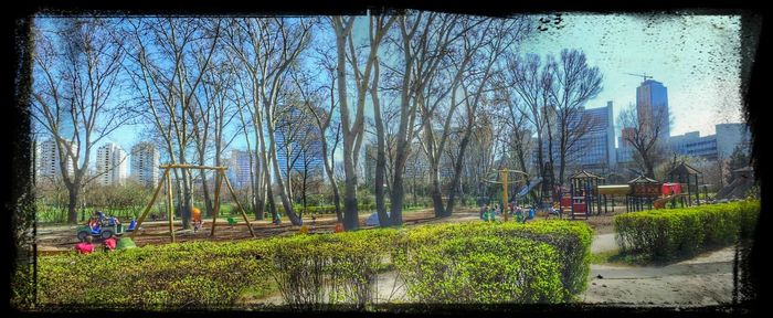 Plants growing in park