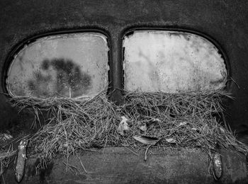 View of abandoned car window