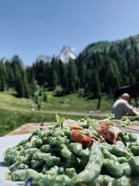 Close-up of vegetables on plant against sky