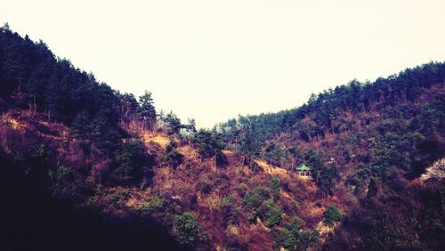 Scenic view of landscape against clear sky