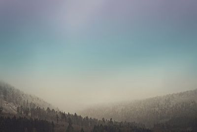 Scenic view of trees against clear sky