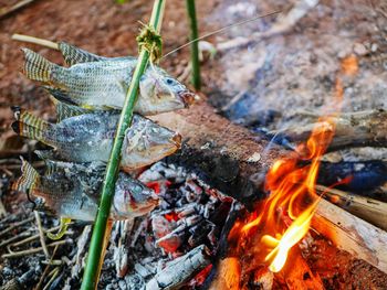 High angle view of bonfire on wood