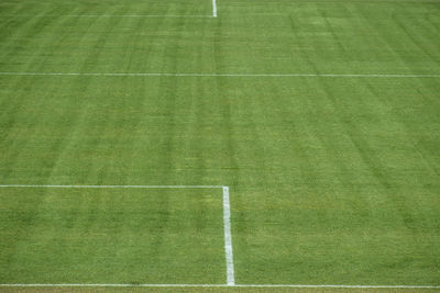 Full frame shot of green grass