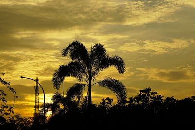 Silhouette trees against sky during sunset