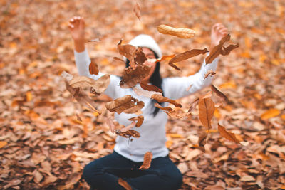 Close-up of dry autumn leaves