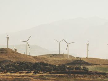 Wind turbines on grassy field