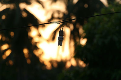 Low angle view of illuminated lighting equipment at night