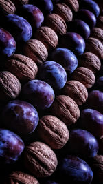 Aesthetic contrast plum and nuts