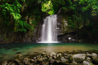 Scenic view of waterfall in forest