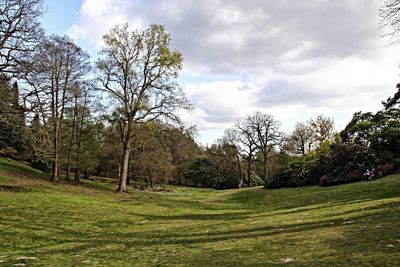 Scenic view of grassy field against cloudy sky