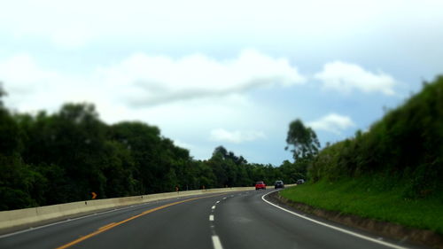 Vehicles on road amidst trees against sky