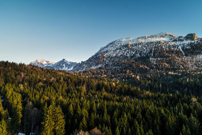 Low angle view of fresh green mountain against clear sky