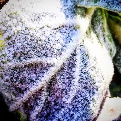 Full frame shot of water