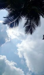 Low angle view of palm tree against sky