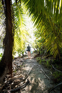 Rear view of man walking in forest