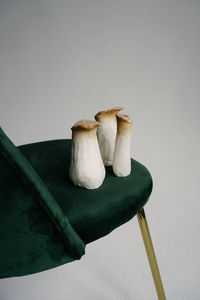 High angle view of mushrooms on chair against gray background