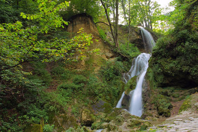 Low angle view of waterfall in forest