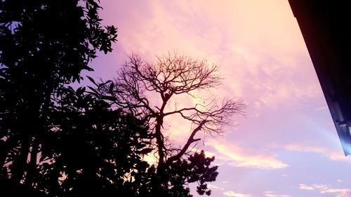 Low angle view of silhouette trees against sky