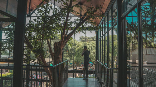 Rear view of woman standing by railing against trees