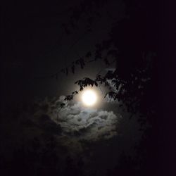 Low angle view of moon in sky at night