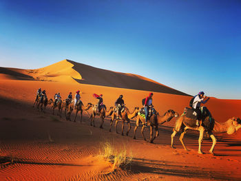 People riding horse in desert against clear sky
