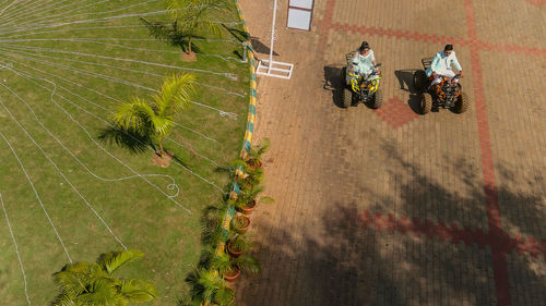 High angle view of people by plants