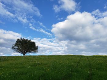 Scenic view of land against sky