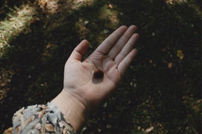 Cropped image of person hand against tree