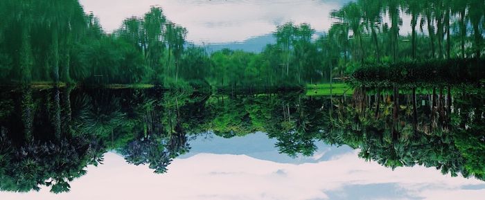 Reflection of trees in lake against sky