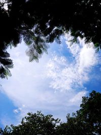 Low angle view of trees against sky