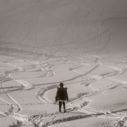 Rear view of person on snowcapped mountain