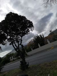 Trees by road against sky in city