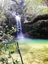 Scenic view of waterfall