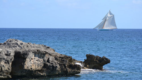 Sailboat sailing on sea against clear sky