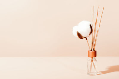  hygge and aromatherapy concept. aroma reed diffuser, branch of cotton. minimal style composition