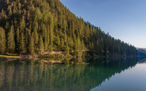 Scenic view of lake by trees against sky