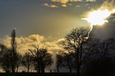 Silhouette trees against sky during sunset