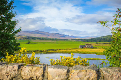 Scenic view of field against cloudy sky